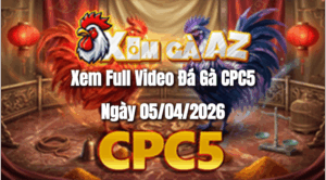 Xem Full Video Đá Gà CPC5 Ngày 05/04/2026