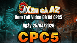 Xem Full Video Đá Gà CPC5 Ngày 25/04/2026