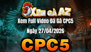 Xem Full Video Đá Gà CPC5 Ngày 27/04/2026
