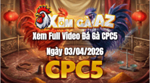 Xem Full Video Đá Gà CPC5 Ngày 03/04/2026