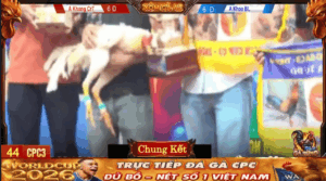 Thông Báo Đội Vô Địch Giải CPC3 27/4/2026