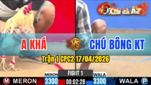 Trận 1 CPC2 17/04/2026 - Vàng Buông Đuôi Bướm Nằm 1 Đống Mau Lẹ