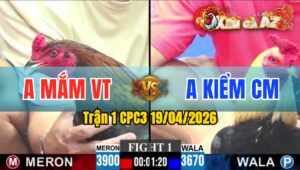Trận 1 CPC3 19/04/2026 - Gà Chuối Đá Cựa Như Sam Xít Lụm Ngọt Gà Đỏ