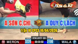 Trận 10 CPC3 18/04/2026 - Chuối Đâm Cựa Tịch  Điều Chết Trên Tay