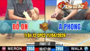 Trận 12 CPC2 11/04/2026 - Xanh Buôn Đuôi Úa Nằm Ngay Tại Chỗ