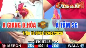 Trận 13 CPC3 12/04/2026 - ÚA ĐÂM BƯỚM HƯ HÌNH  BƯNG RA