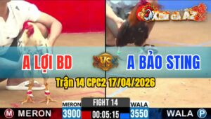 Trận 14 CPC2 17/04/2026 - Điều Chấp Ngông Vẫn Đá Bướm Nằm 1 Đống
