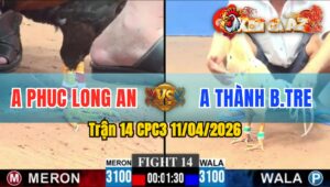 Trận 14 CPC3 11/04/2026 - ĐIỀU NHÉT CỰA  BƯỚM LỌT HẾT SỬA