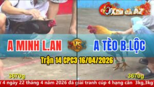 Trận 14 CPC3 16/04/2026 - Xanh Đâm Quá Đâm  Đỏ Hư Hình Bỏ Miệng