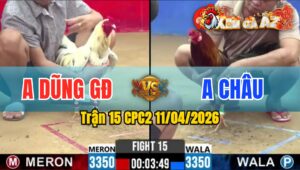 Trận 15 CPC2 11/04/2026 - Điều Vàng Đâm Quá Tịch Bướm NẰm Biệt Dưới Chân