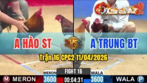 Trận 16 CPC2 11/04/2026 - Điều Đâm Quá Tịch 1 Tay Nước Xanh Gãy Giò