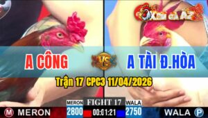 Trận 17 CPC3 11/04/2026 - ÚA XIẾC MẠNH  ĐIỀU BÔNG GÃY CHÂN  HẾT ĐỨNG