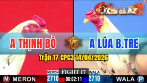 Trận 17 CPC3 14/04/2026 - Bướm Ra Đòn Quyết Định  Xanh Kêu Miệng Bỏ Chạy