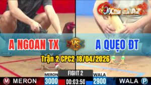 Trận 2 CPC2 18/04/2026 - Bướm Siết Quá Ghê Đỏ Hư Hình La Miệng