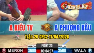 Trận 20 CPC2 11/04/2026 - Bướm Đá Que Hết Nhảy Rồi Bỏ Chạy