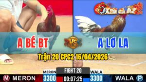 Trận 20 CPC2 16/04/2026 - Khét Quá Trâu Đá Xam Quay Đầu La Miệng