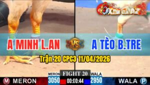 Trận 20 CPC3 11/04/2026 - ÚA A TÈO ĐÂM ĐẦU  K CÓ KẾT QUẢ BỊ BƯỚM ĐÁ LẠI DÃY TẠI CHỖ