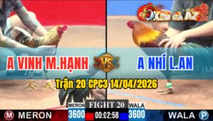 Trận 20 CPC3 14/04/2026 - Cú Đâm Điều Bại Chân Điều Đá Cú Hư Hình