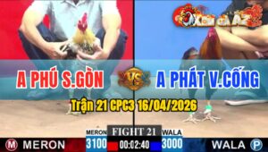 Trận 21 CPC3 16/04/2026 - Chuối Bông Đâm Cựa Tịch  Bưng Điều Ra Sân