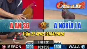Trận 22 CPC2 12/04/2026 - Vàng Đâm Mu Lưng Xanh Hư Hình Hết Cứu