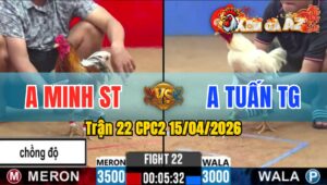 Trận 22 CPC2 15/04/2026 - Xám Bông Đâm Như Xôm Úa Chết Biệt Hết Cứu