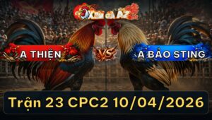 Trận 23 CPC2 10/04/2026 - Đỏ Đâm Quá Đâm Xanh Hư Hình Nằm Biệt