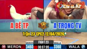 Trận 23 CPC2 12/04/2026 - Vàng Đá Trên Lưng Bưng Bướm Ra Ngoài