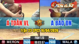 Trận 23 CPC2 16/04/2026 - Xanh Đâm Quá Ác Đỏ Nằm Biệt Sau 2 Tay Nước