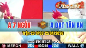 Trận 23 CPC3 12/04/2026 - Bướm Đâm Úa Hư Hình  Bưng Ra Sân