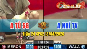 Trận 24 CPC2 13/04/2026 - Vàng Đâm Như Xôm Bướm Cấm Đầu Tại Chỗ