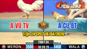 Trận 24 CPC2 16/04/2026 - Cú Đá Bướm 4 Chân Bướm Hư Hình Nằm Biệt