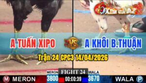 Trận 24 CPC3 14/04/2026 - Que Nạp Vài Chân  Bướm Hư Giò Hết Đứng