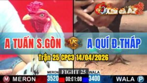 Trận 25 CPC3 14/04/2026 - Điều Đâm Quá Đâm  Bướm Té Hết Đứng