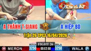 Trận 26 CPC3 16/04/2026 - Điều Đã Trổ Bông Đụng Bướm Đâm Quá Đâm