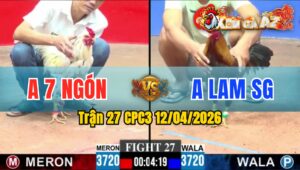 Trận 27 CPC3 12/04/2026 - Bướm Đá Trên Chân  Xám Dính Cựa Đứng Hết Nổi