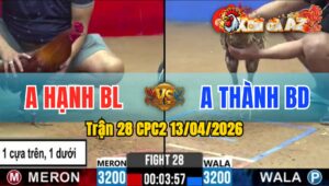 Trận 28 CPC2 13/04/2026 - Bông Buôn Đuôi Đá Điều Hết Đứng Do Chấp Ngông