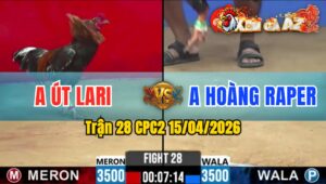 Trận 28 CPC2 15/04/2026 - Đỏ Chạy Ngay Xanh Đá 2 Chân Bay Bồ