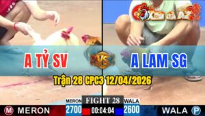 Trận 28 CPC3 12/04/2026 - Điều Đâm Như Máy  Bướm Buông Chạy