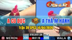 Trận 28 CPC3 14/04/2026 - Xanh Đâm Quá Đâm  Vài Chân Bưng Đỏ Ra Ngoài