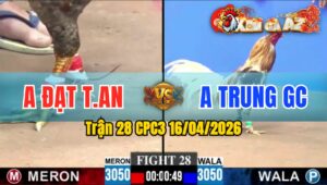Trận 28 CPC3 16/04/2026 - Giằng Co Đến Phút 90 Cú Dứt Điểm Khét Sửa Quá Hay