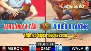 Trận 28 CPC3 18/04/2026 - Điều Quá Trâu  Khét Vàng Không Thể Kết Thúc