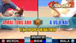 Trận 29 CPC3 18/04/2026 - Úa Chà Vài Chân  Điều Té Hết Sửa