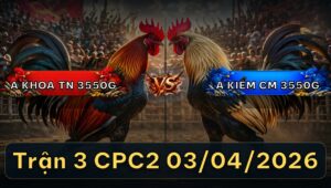 Trận 3 Bồ CPC2 3/4/2026 - Cú Quá Tốc Độ 1 Tay Nước Ô Nằm Tại Chỗ