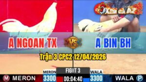 Trận 3 CPC2 12/04/2026 - Đỏ Đâm Quá Đâm Buôn Đuôi Lụm Tiền Mau Lẹ