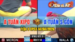 Trận 3 CPC3 14/04/2026 - Điều Đâm Như Máy Khâu  Bưng Xám Nhanh Gọn