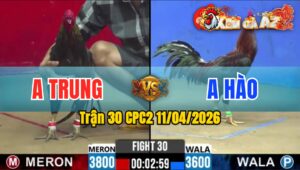 Trận 30 CPC2 11/04/2026 - Điều Trả Chân Quyết Định Xám Lật Xe Phản Tang Ăn 1