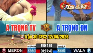 Trận 30 CPC2 12/04/2026 - Điều Đá Đúng 2 Chân Bưng Úa Ra Ngoài