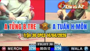 Trận 30 CPC3 14/04/2026 - Điều Đâm Cựa Tịch  Chuối Nằm 1 Đóng