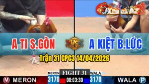 Trận 31 CPC3 14/04/2026 - Điều Chân Trắng Đâm Điều Chân Xanh Bỏ Chạy