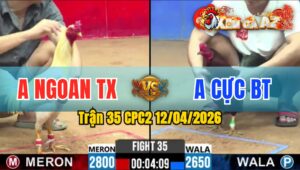 Trận 35 CPC2 12/04/2026 - Bướm Quá Nhanh 4 Đá Điều Nằm 1 Đóng